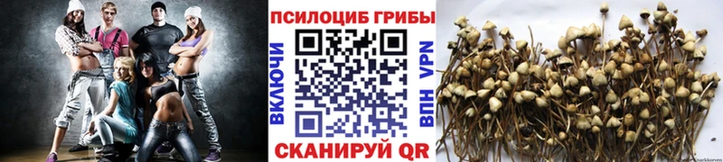 MEGA tor  Трубчевск  Галлюциногенные грибы MAGIC MUSHROOMS  хочу  